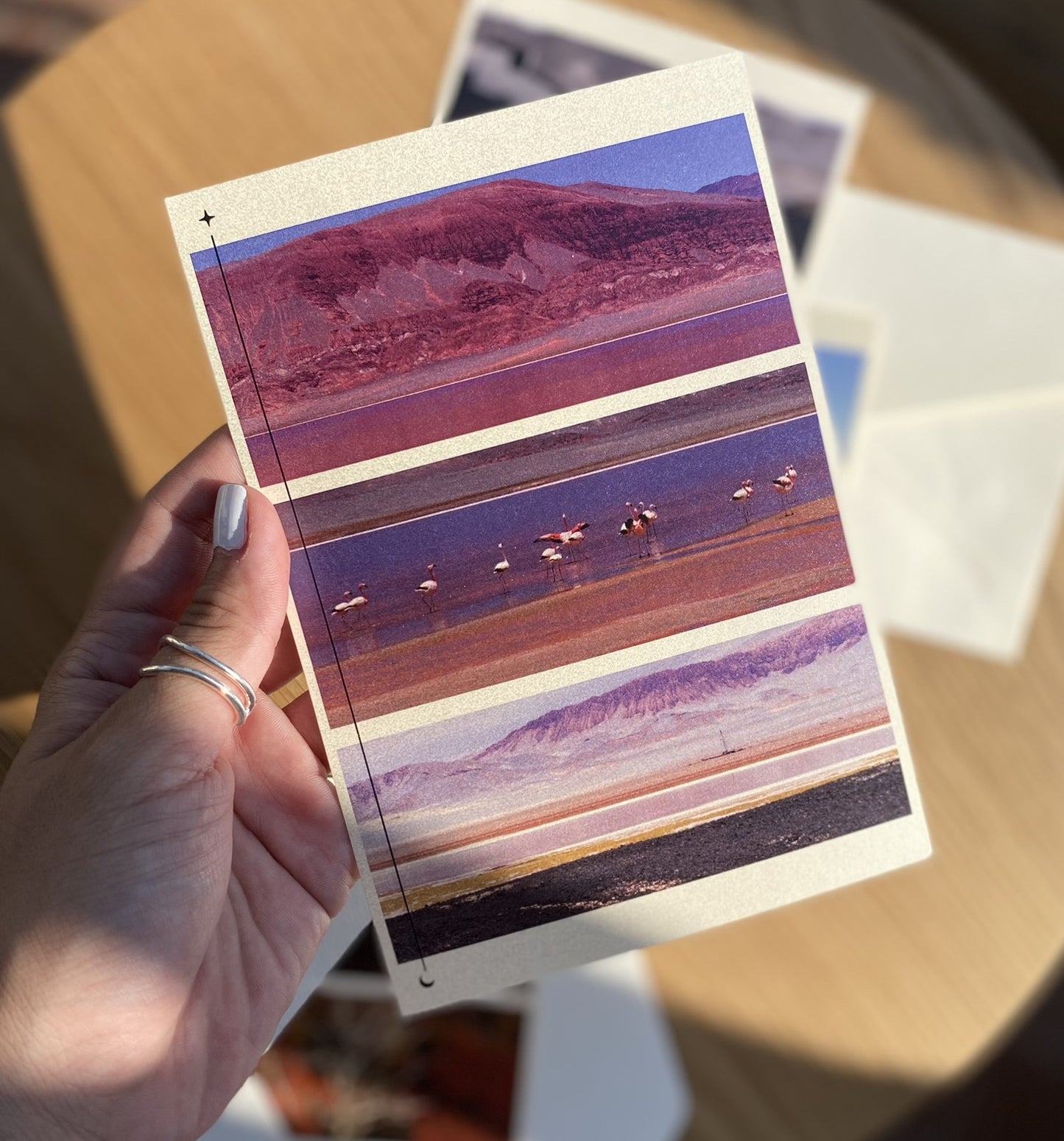 PACK POSTALES TREN AL SUR