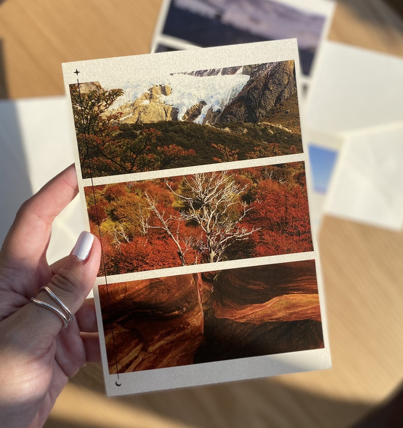 PACK POSTALES TREN AL SUR